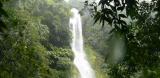 Empowering people to protect their forests logo